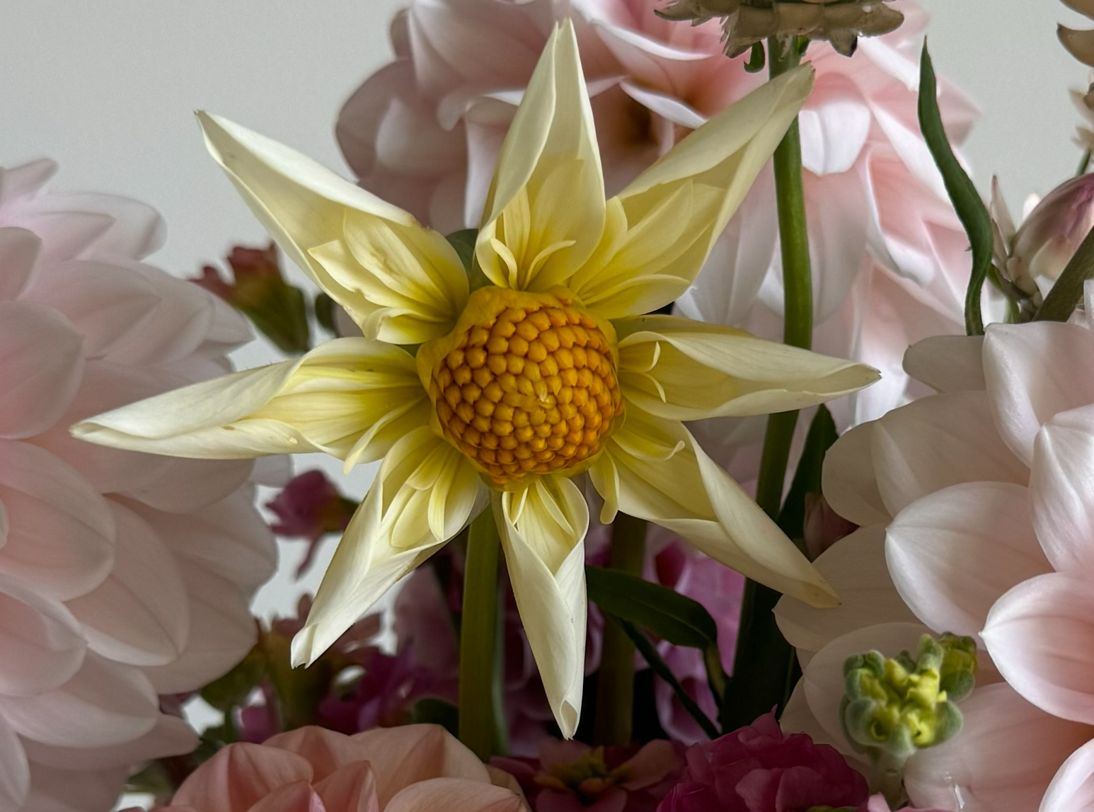 SB Buttercream